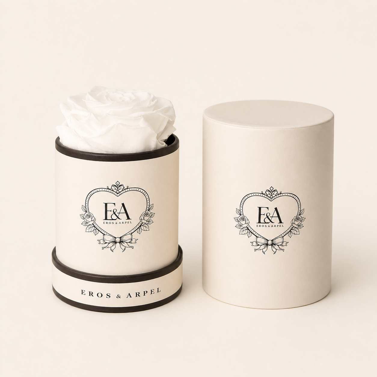 Blanc Éternel single preserved ivory rose in Eros & Arpel petite signature box