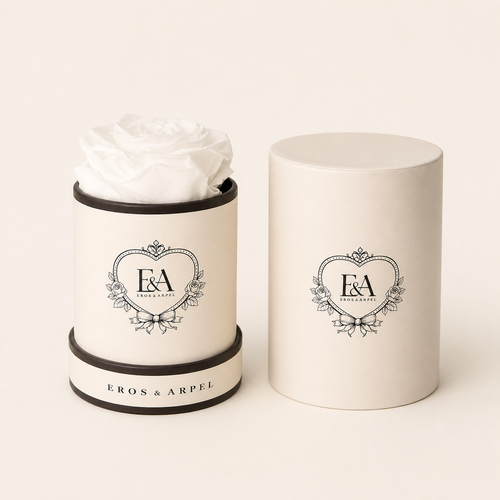 Blanc Éternel single preserved ivory rose in Eros & Arpel petite signature box