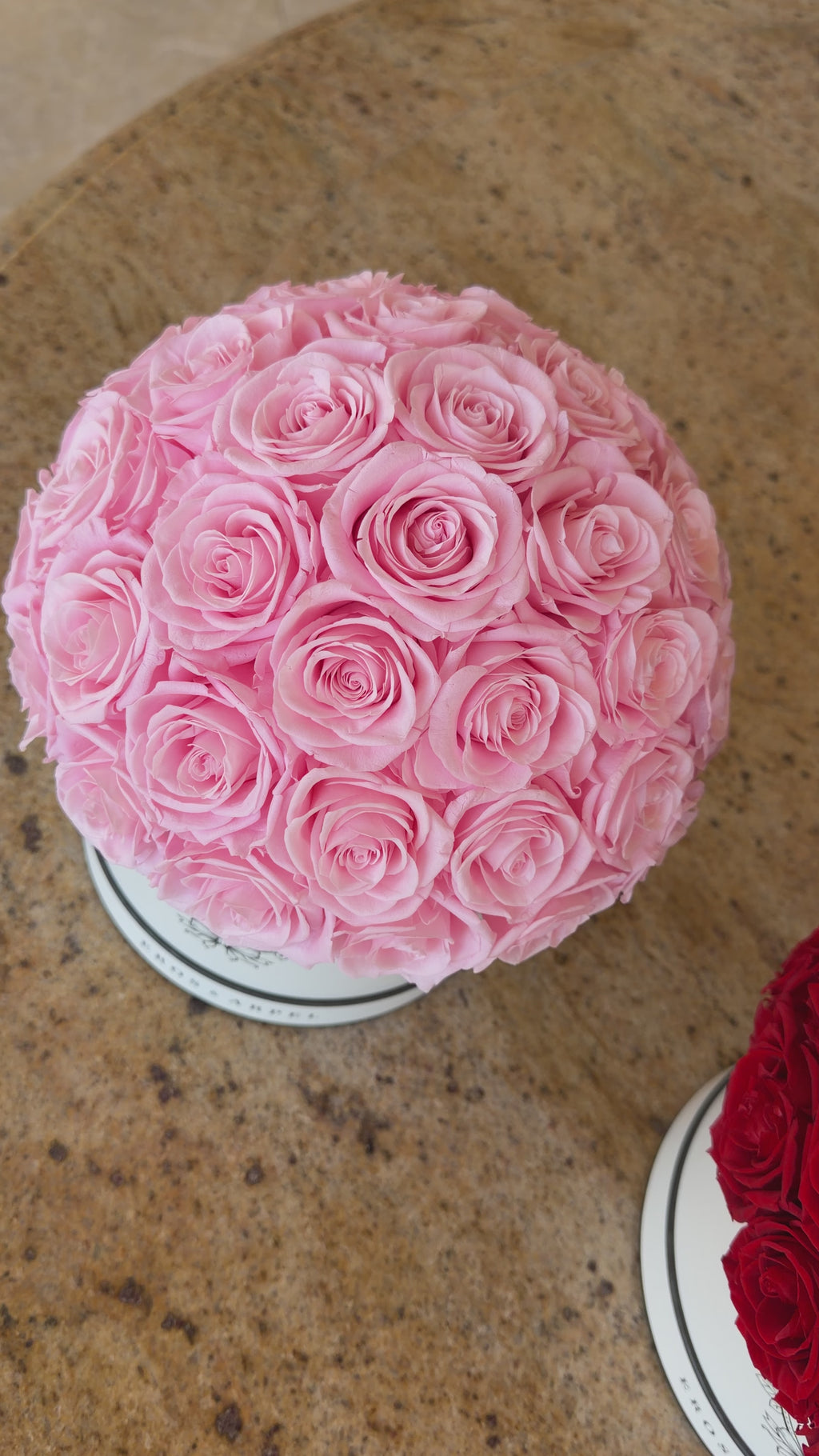 Blush Éternel