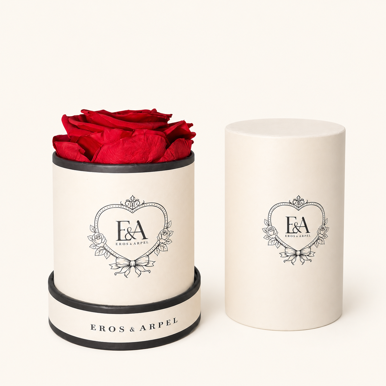 Rouge Éternel single preserved red rose in Eros & Arpel petite signature box